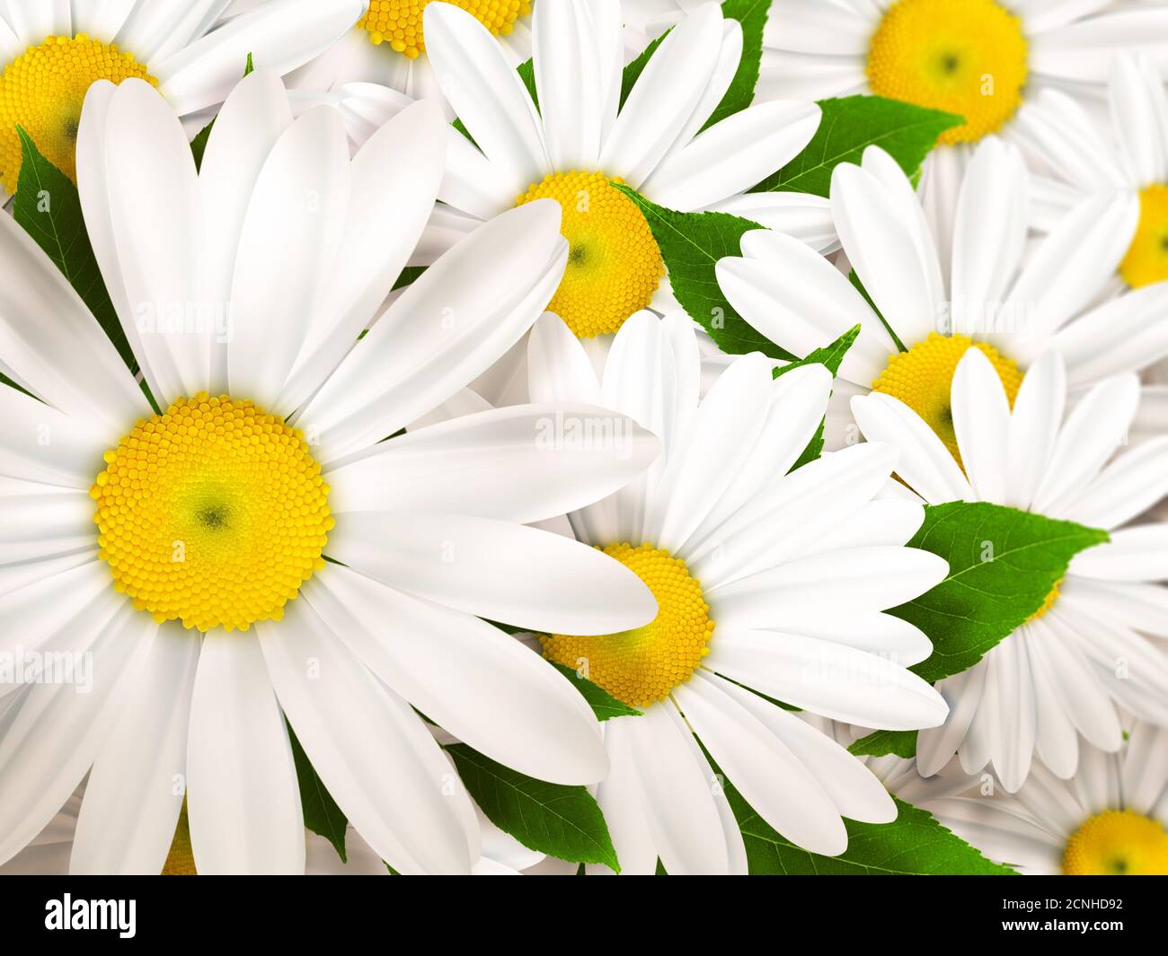 Nature fond Banque D'Images