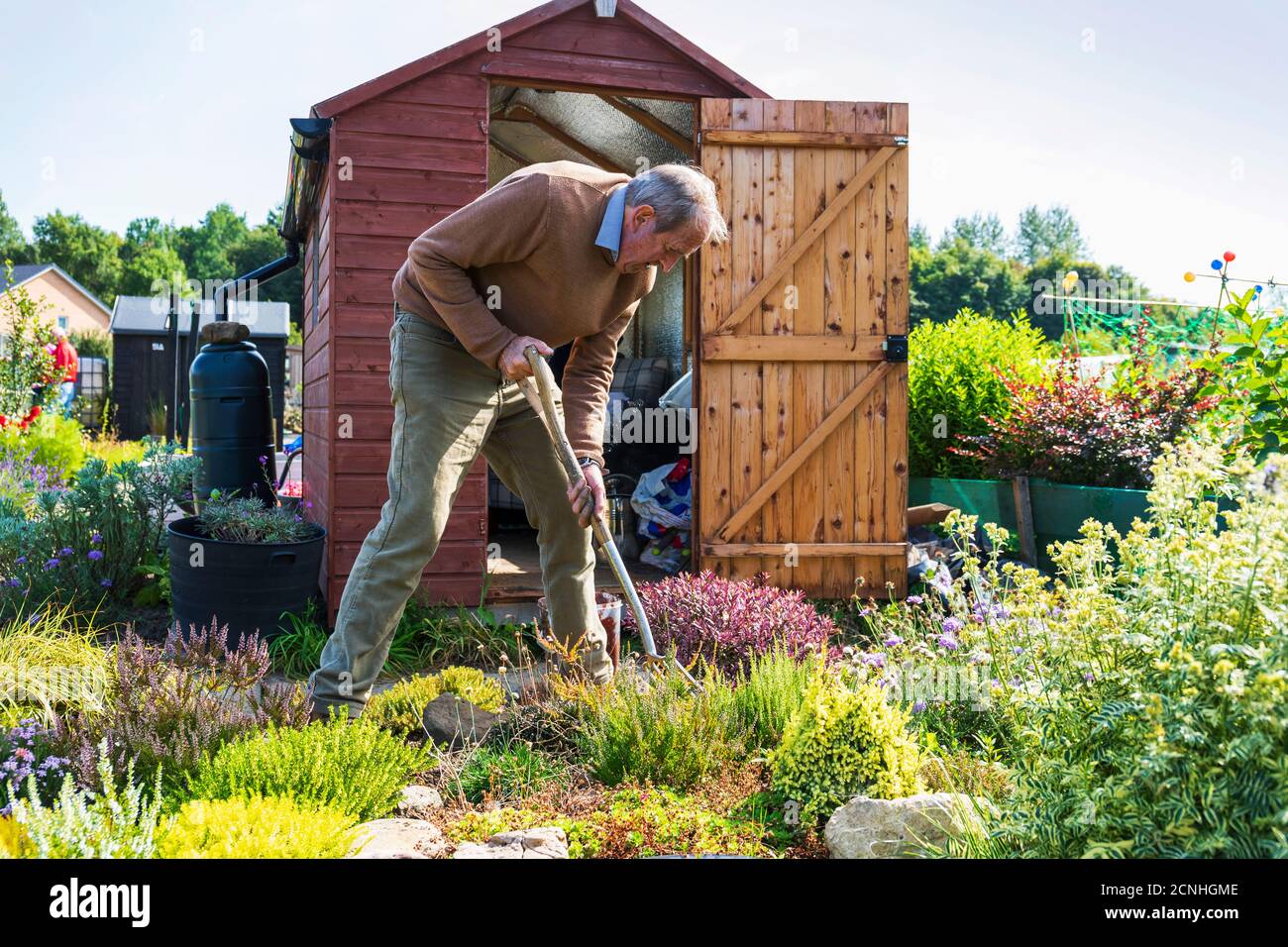 Homme creusant son jardin dans son lotissement, Eglinton Growers Allotages, Kilwinning, Ayrshire, Écosse, Royaume-Uni Banque D'Images