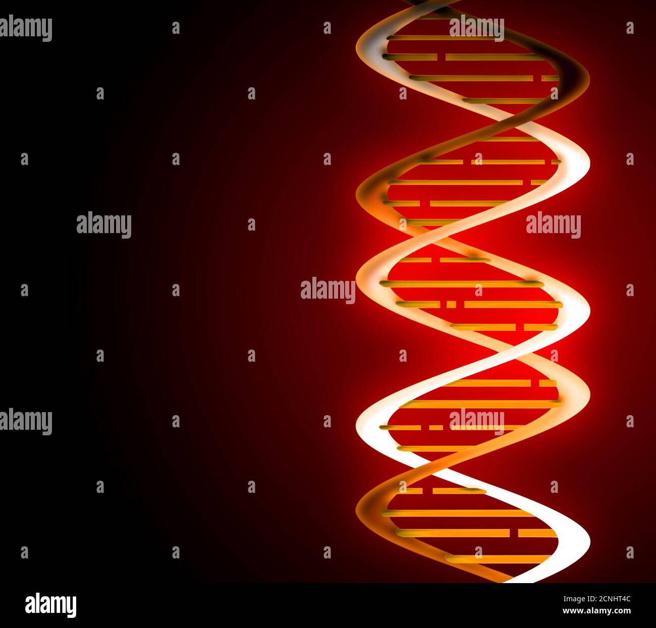 Brins d’ADN Banque D'Images