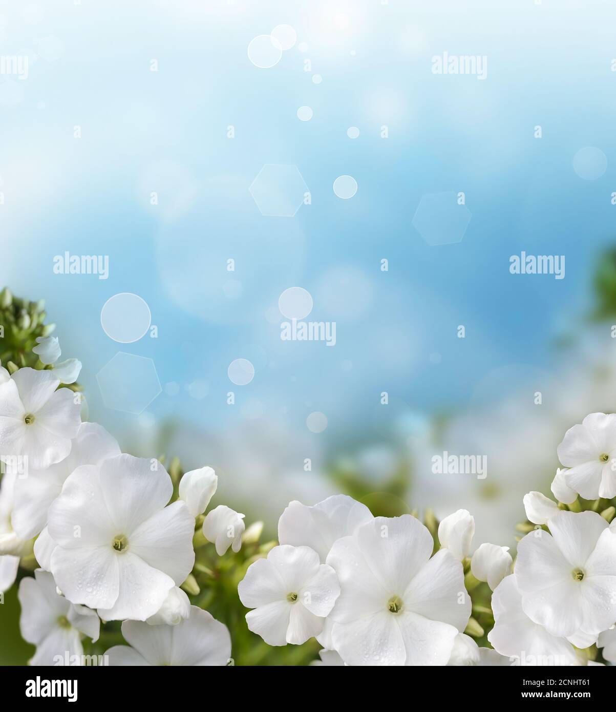 Natural Background Banque D'Images