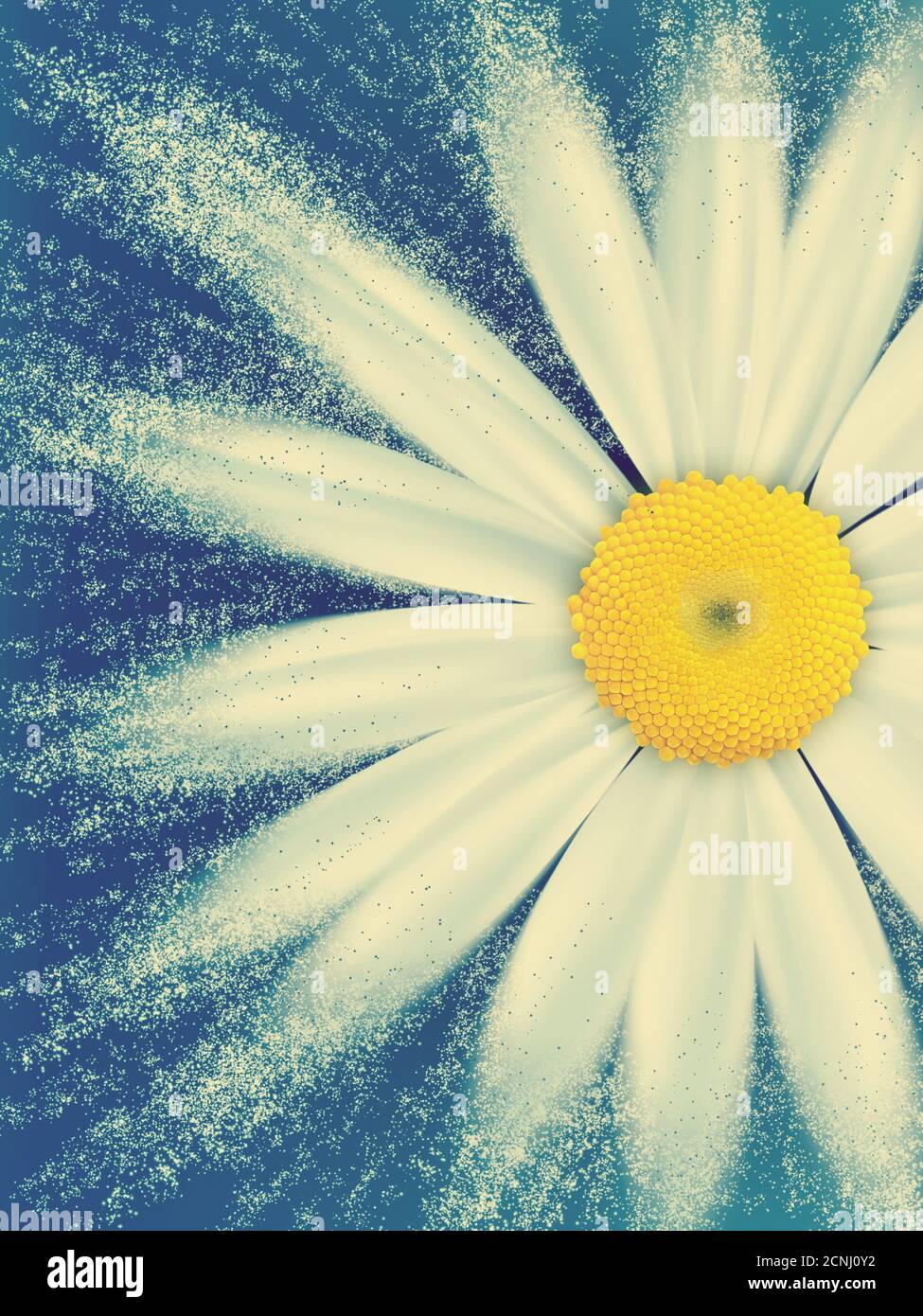 Nature fond Banque D'Images