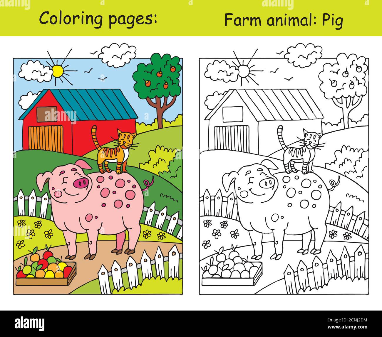 Pages de coloriage avec mignon sourire porc et chat sur la ferme prairie. Illustration vectorielle de dessin animé. Image colorée et colorée de l'illustration PIG.stock pour Illustration de Vecteur