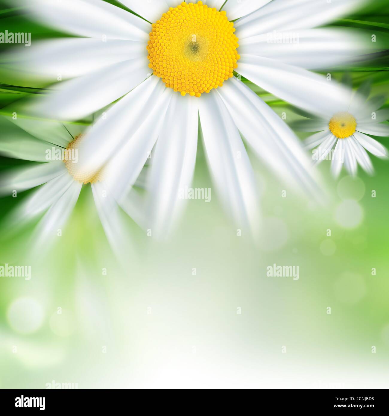 Nature fond Banque D'Images