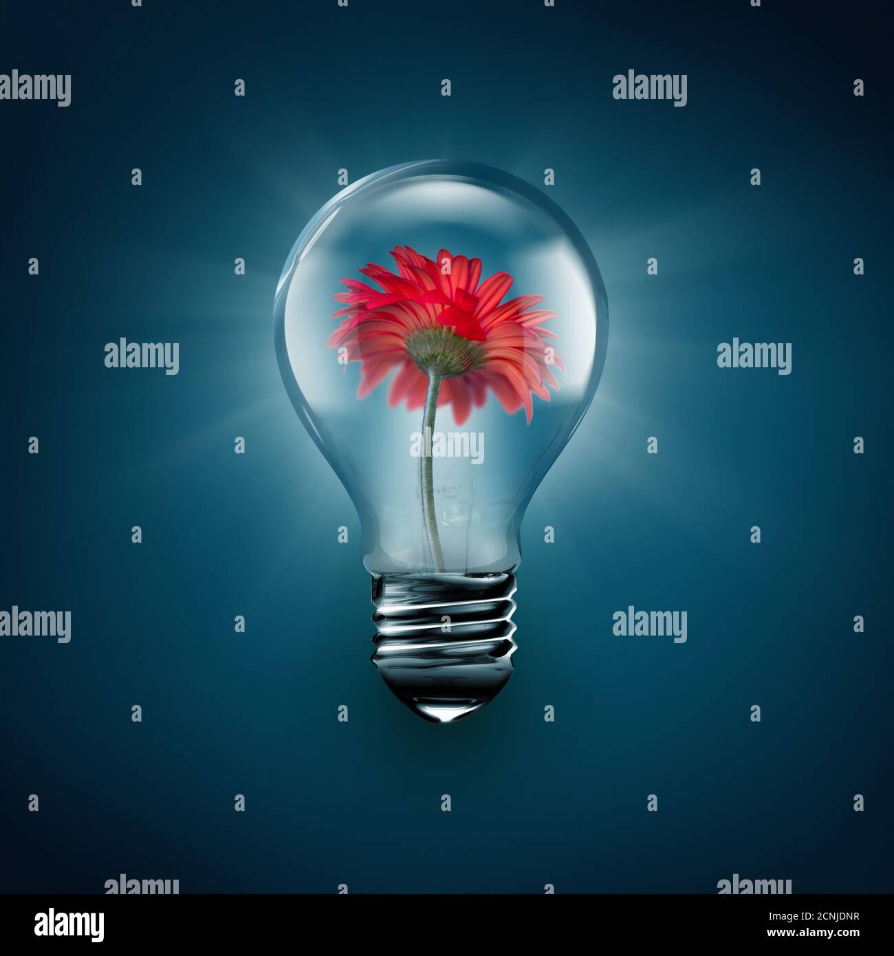 ampoule intérieure à fleur rouge Banque D'Images
