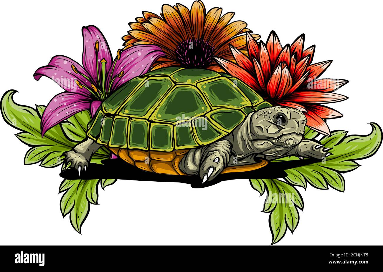 tortue avec fleurs dessins illustrations vectorielles Illustration de Vecteur