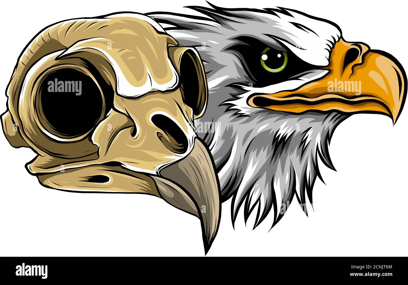 Mascotte tête d'une illustration vectorielle Eagle Illustration de Vecteur