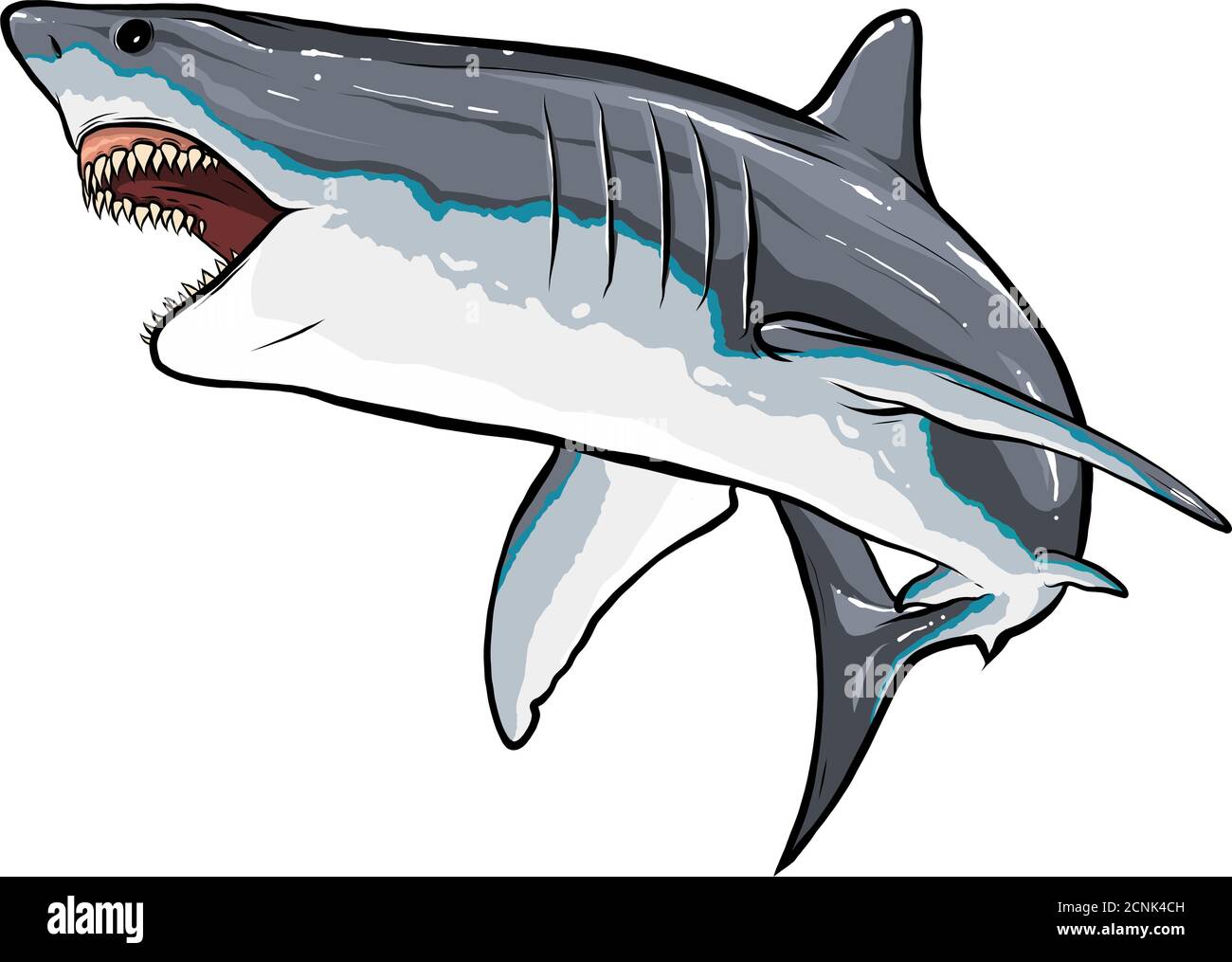 illustration d'images couleur représentant des graphiques vectoriels d'esquisse shark Illustration de Vecteur