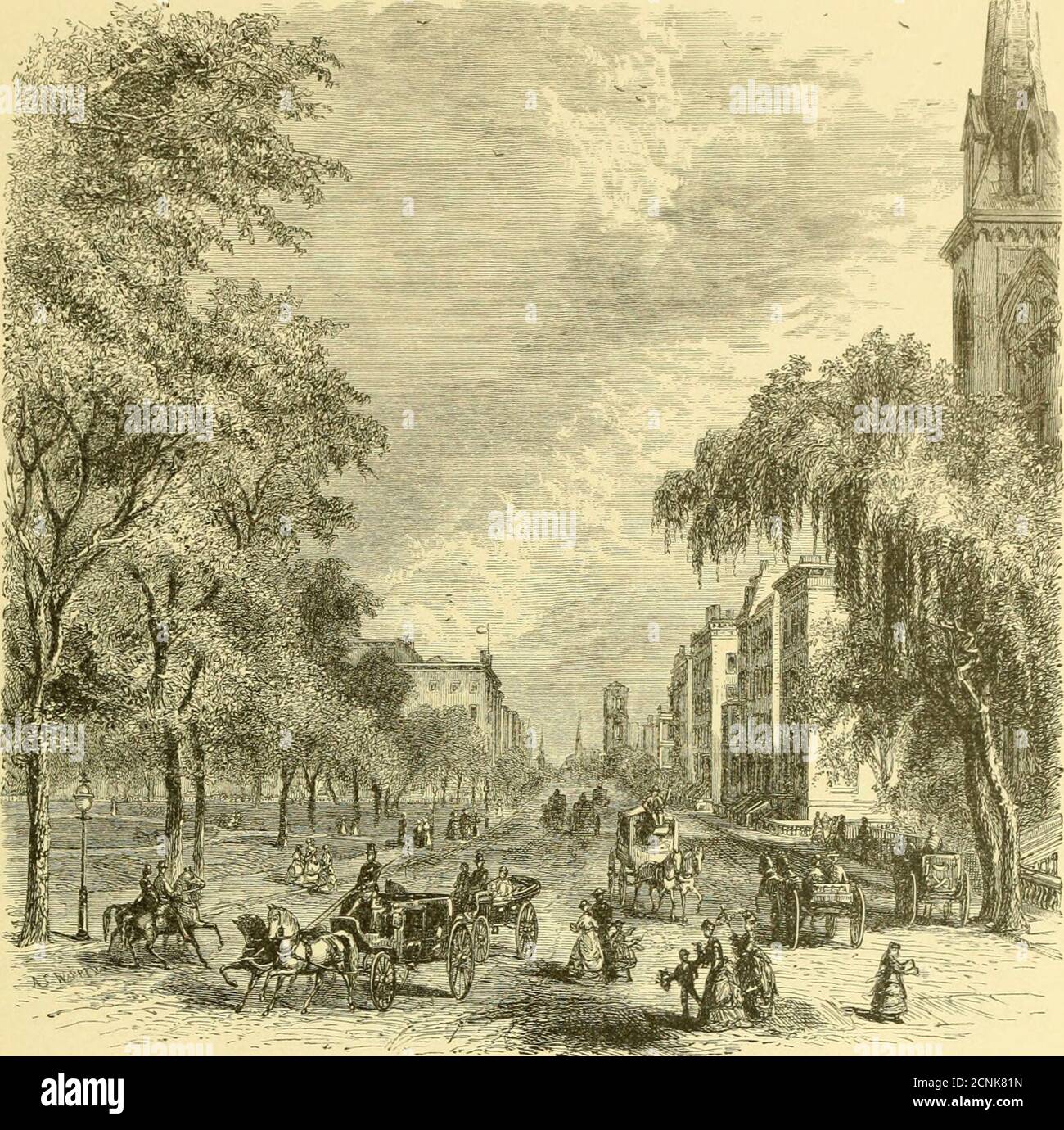 . Le chemin de fer de Pennsylvanie : son origine, sa construction, son état et ses connexions. Embrassant des avis historiques, descriptifs et statistiques de villes, de villes, de villages, de stations, d'industries, et d'objets d'intérêt sur ses différentes lignes en Pennsylvanie et au New Jersey . quarante-huit mille six centièmes et quarante-deux dollars. Quand l'amélioration a commencé, c'était l'un des endroits mobiles qui peut être conçu, sans grand-chose d'autre qu'un immense marais, soulagé par les héréet là par des morceaux de piège-rock, et utterlydestitute de beauté naturelle: Maintenant il est, inattractivité, excellé par quelques parcs i Banque D'Images