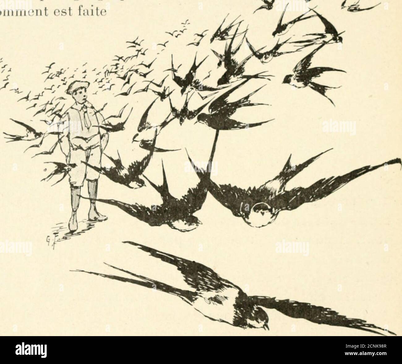 . Nouvelles histoires sur de vieux proverbes; . r à loreille, puis à cou[)repart à tire dailes, refait plus nombreuses,striant le ciel bleu accents circonflexes noirs. Le soleil est bâlot ; nous sommes à la fin de septembre, lesarbres jaunissent, se bronzent ; maints dentre eux ont perdudéjà bonne partie de leurs feuilles. Lhiver est proche. Marcel est fier !.., les hirondelles tournent, Tournez de lui, décri-vent des cercles qui ne sont pas le centre, se trouvent, le frô-prêté de leurs ailes en poussant de petits crus joyeux. Et Marcelpense : « elles se assemblent, mes am Banque D'Images