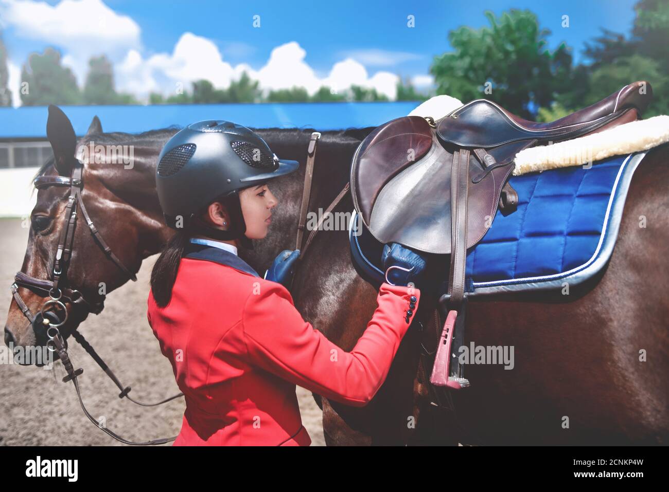 Fille Rider règle la selle sur son cheval pour prendre part aux courses de  chevaux Photo Stock - Alamy