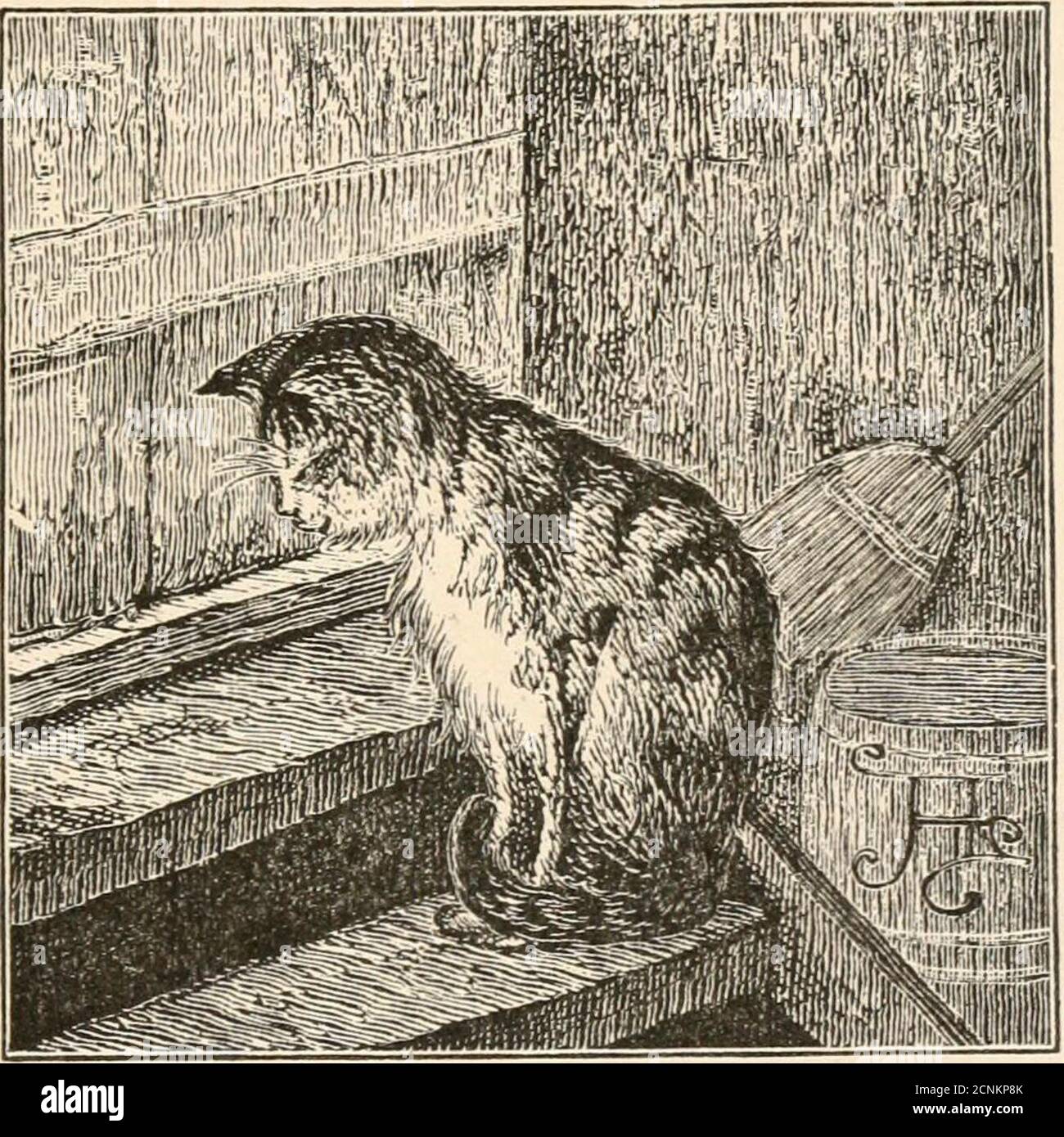 Lettres D Un Chat Publie Par Sa Maitresse Pour Le Benefice De Tous Les Chats Et De L Amusement Des Petits Enfants N Moi Le Printemps Dernier Quand Je L Ai Vu Venir