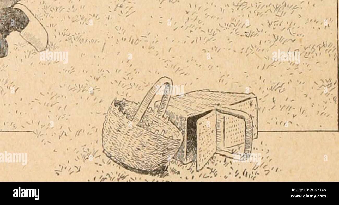 . Filles et ga . ;^ ■■■-■. et doux la rep;arde couler. Le matin et le soir, de blanches vagueurs se traître sur lherbe de ses berges. Mais Jean et Jeanne Naiment la rivière ni pour les vertsfeuils de ses bords, ni pour ses eaux pures où le ciel se mire. Ils louent le poisson qui est dans. Ils sarrêtent à lendroit le plus poissonneux, Jeannesassied sous un saule été. Ayant eu ses paniers à terre, Jean déroute sa ligne.Mie est simple : une gaule, avec un fil et une épingle recyclée au bout du fil./ean a fourni la gaule, Jeanne a donné le fil et lepple; aussi la ligne est-elle Banque D'Images