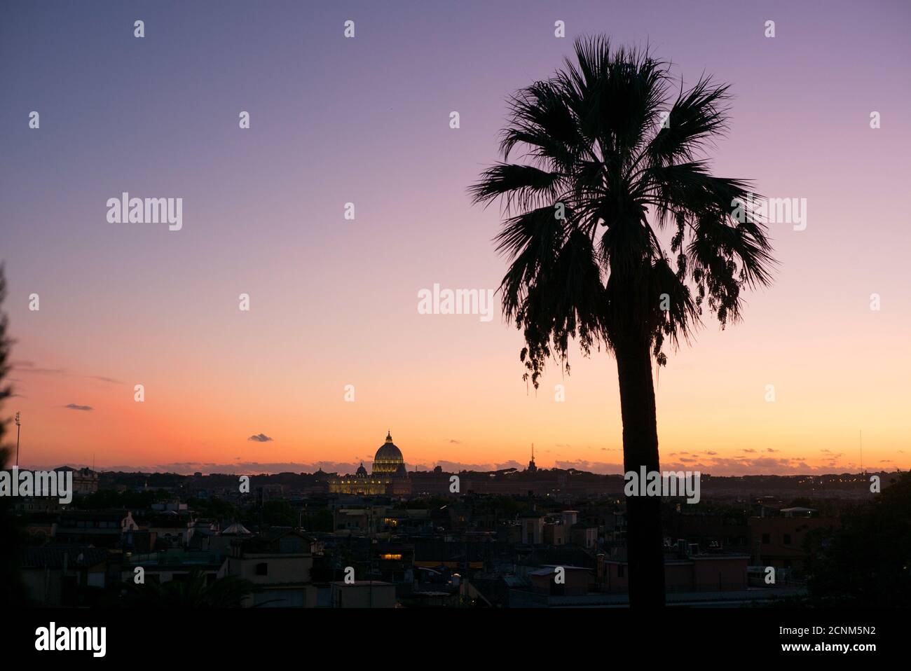 Coucher de soleil, palmier, dôme de la basilique Saint-Pierre, Vatican, Rome, Italie Banque D'Images