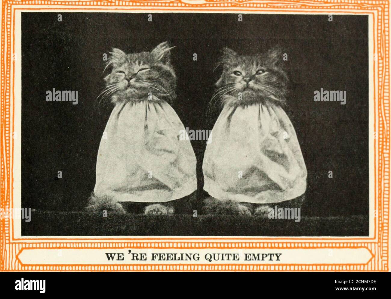 . Chatons et chats; un livre de contes . EST-CE QUE NOUS AVONS L'AIR COMME nous avons l'air comme nous l'avons fait et nous nous sommes habillée Et agir de la même manière, disent-ils.et c'est pourquoi nous avons appelé les Twins par le bon vieux Granny Gray. 68 CHATONS ET CHATS  ^—^••^^^•^^^^•^^^^^^^•^•^•^ ce QUE NOUS CHANTERONS nous aussi nous sommes jumeaux, et ils nous disent se souter. Nous avons tellement faim juste maintenant, nous ne pouvons pas vous dire un conte. Mais nous allons vous chanter une chanson, — si wecan pense à une. Hé ding un ding, que chanterons-nous ? Combien de trous dans un skimmer ?four et vingt,—se sentaient quitevides; cher Reine, nous donner un peu de dîner.Hey ding un dding, que chanterons-nous? Chère Reine, donnez-nous Banque D'Images