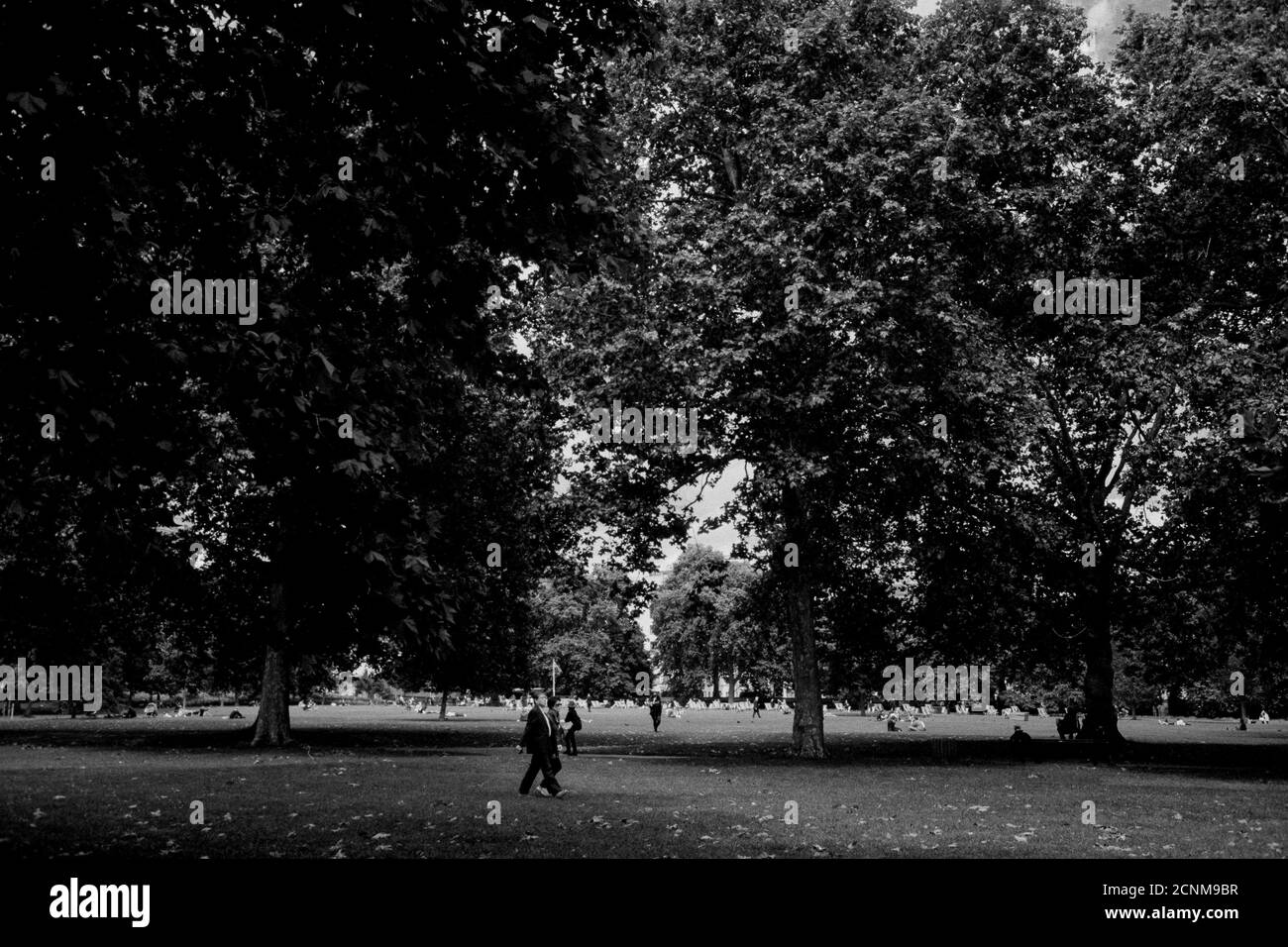 Green Park, Buckingham Palace, Westminster, Londres, Grande-Bretagne, Royaume-Uni Banque D'Images
