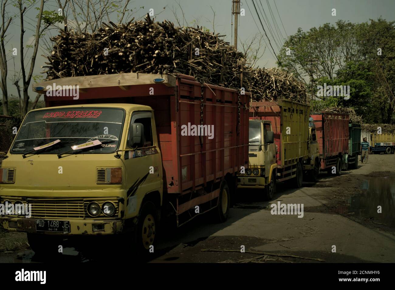 Une gamme de camions chargés de fournitures de canne à sucre à l'usine de sucre de Tasikmadu à Karanganyar, Java central, Indonésie. Banque D'Images