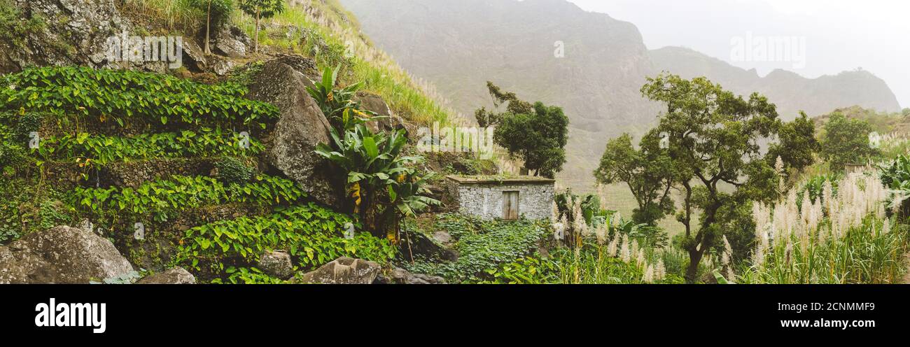 Les montagnes de Santo Antao avec petite ferme en cascade de loteries. Banque D'Images