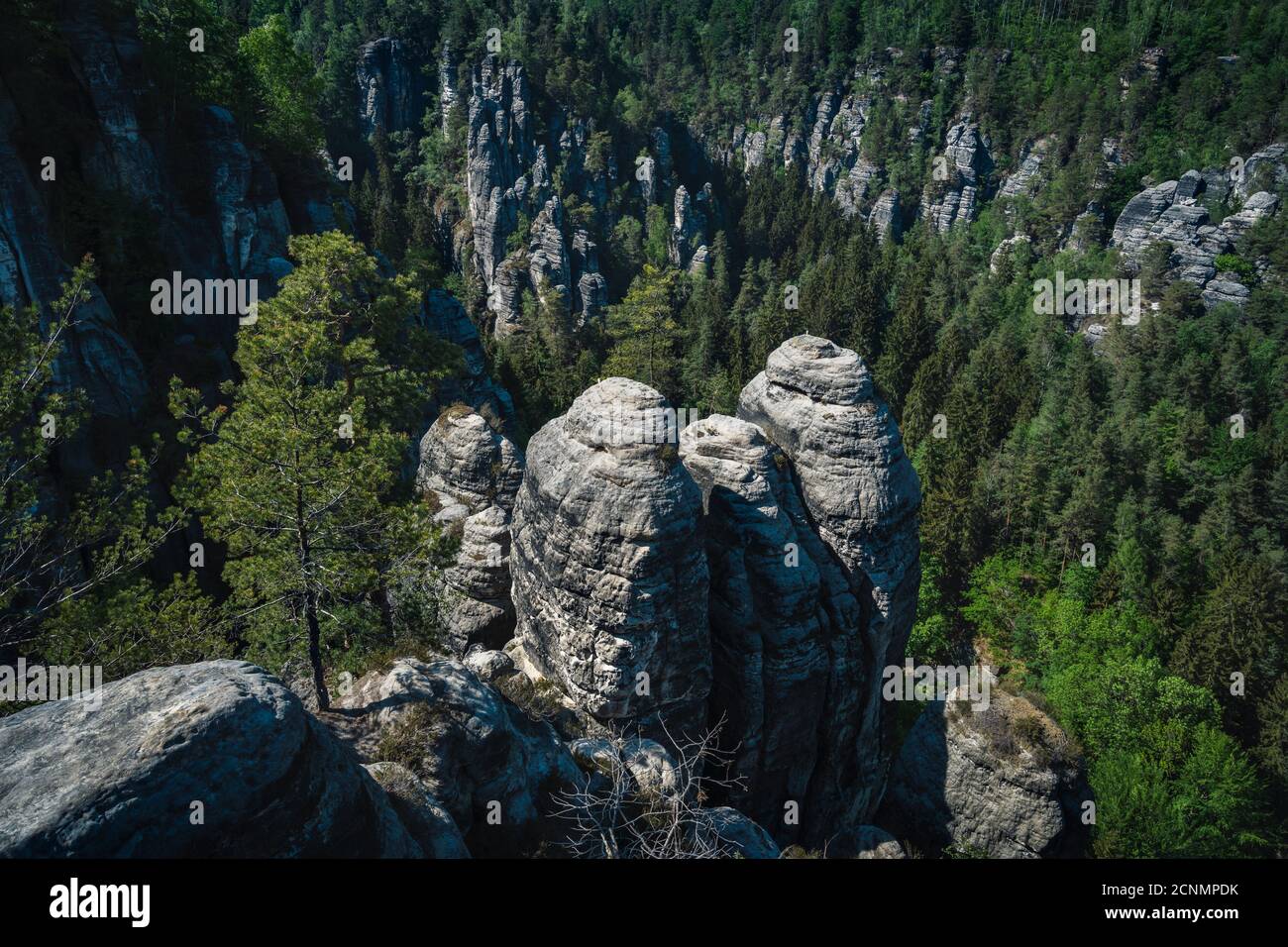 Vue sur la célèbre formation rocheuse de Bastei. Montagnes de grès d'Elbe. Des abysses abruptes et des piliers de roche et des forêts de pins en bas de la vallée. Saxe, Banque D'Images