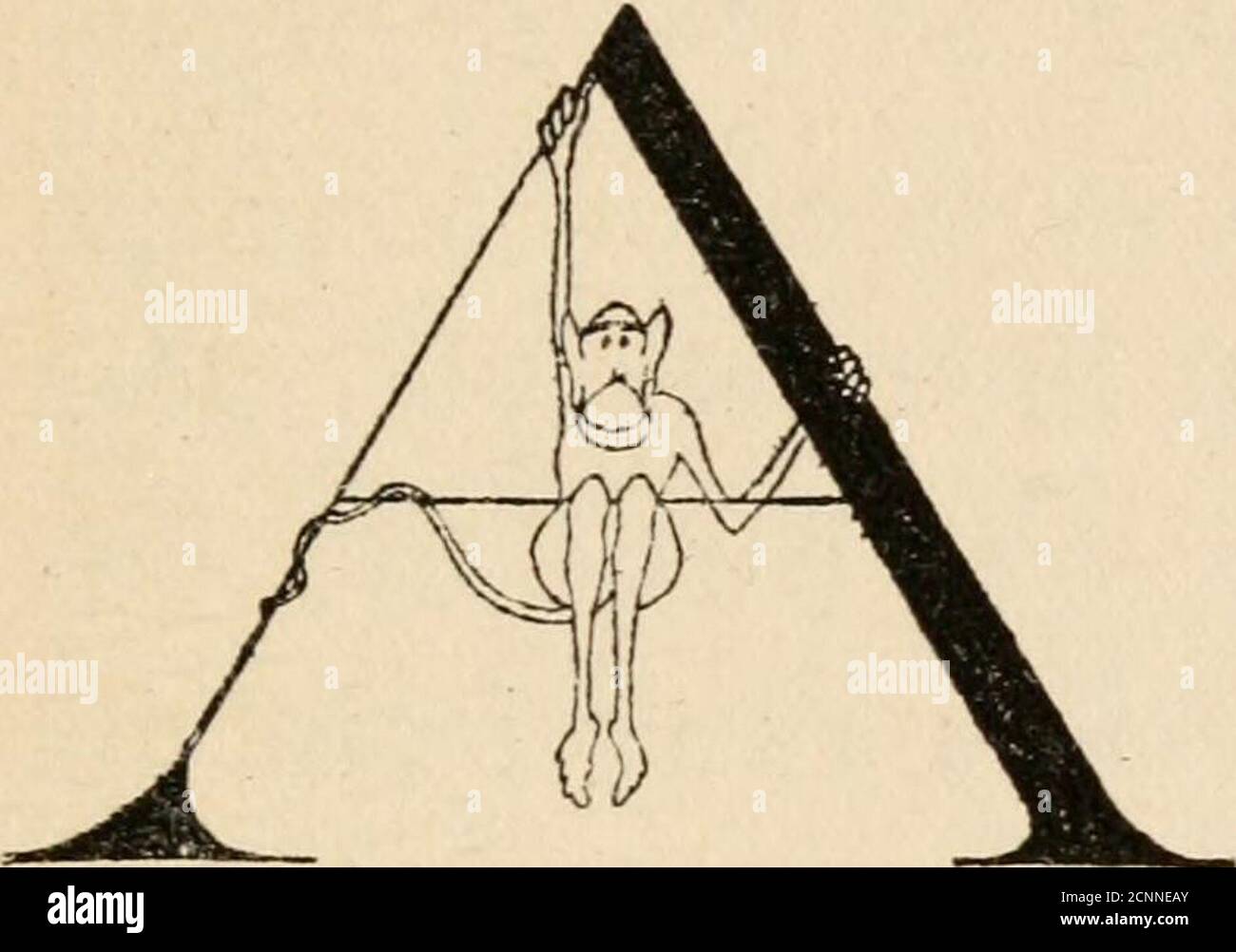 . L'histoire du docteur Dolittle, étant l'histoire de sa vie particulière à la maison et des aventures étonnantes dans des pièces étrangères . l'ardu. Mais il n'est pas là. Il a dit que l'ancien homme ne parla pas le grec à droite, et il ne pouvait pas l'écouter enseigner la langue à tort.Je me demande souvent ce qui est devenu de lui. Thatbird savait plus de géographie que les gens ne le sauront.—les gens, Golly! Je suppose que si les gens apprennent à voler, comme n'importe quel autre haie commun, nous n'entendrons jamais la fin! Vous êtes un vieil oiseau sage, a dit le docteur.quel âge avez-vous vraiment? Je sais que les éléphants de parrotsand vivent parfois pour être très, très Banque D'Images