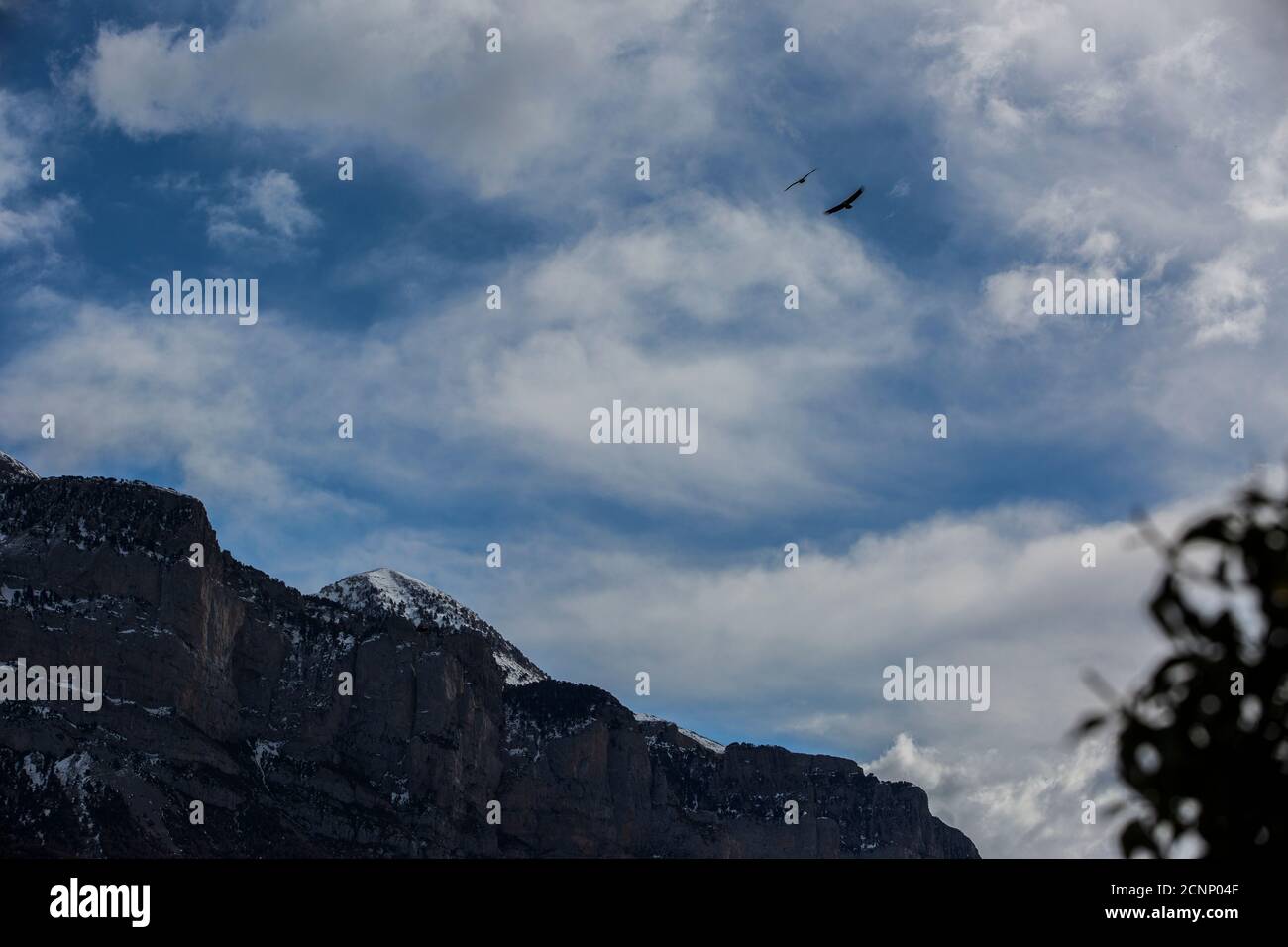 Deux oiseaux survolant le paysage de montagne en hiver, Ordesa et le parc national de Monte Perdido, Huesca, Aragon, Espagne Banque D'Images