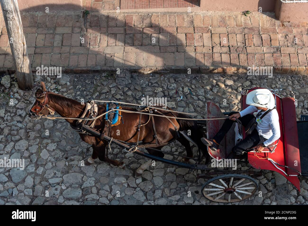 24 août 2019 : une charrette tirée par un cheval. Trinité-et-Cuba Banque D'Images
