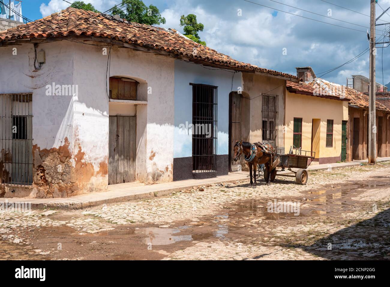 24 août 2019 : une charrette tirée par un cheval. Trinité-et-Cuba Banque D'Images