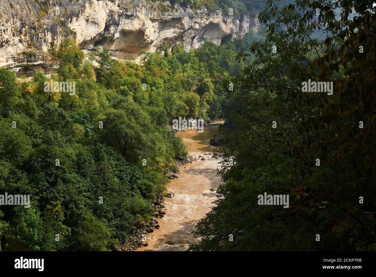 canyon rocheux avec une rivière de montagne boueuse au fond parmi la forêt d'automne Banque D'Images