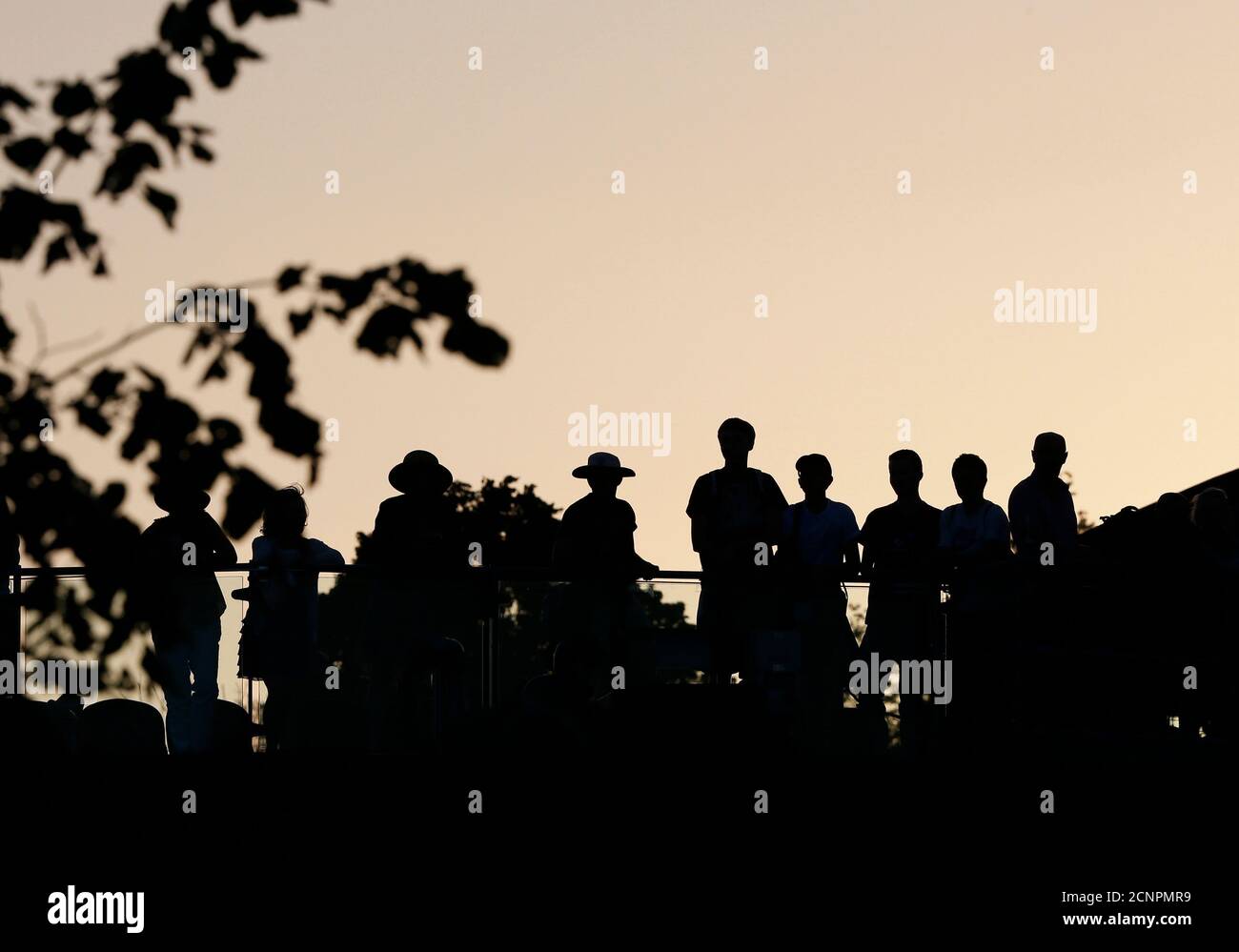 Des spectateurs assistent aux championnats de tennis de Wimbledon à Londres, le 29 juin 2015. REUTERS/Stefan Wermuth Banque D'Images