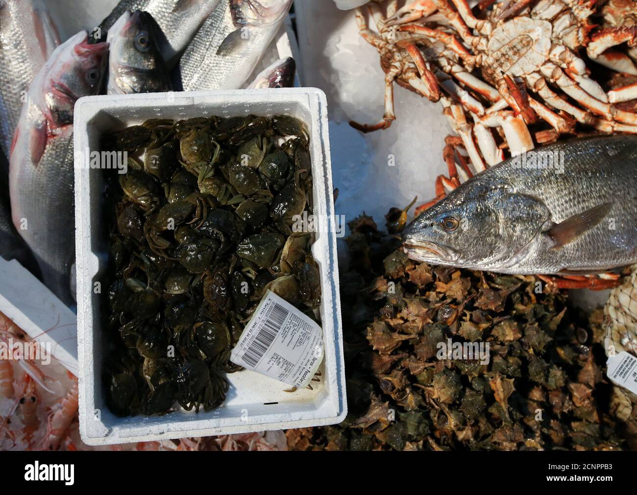 Une Boite Avec Des Crabes De Moche Est Vue Sur Un Marche Aux Poissons A Venise En Italie Le 23 Avril 16 La Lagune De Cette Ville Italienne Lacee Par Un Canal