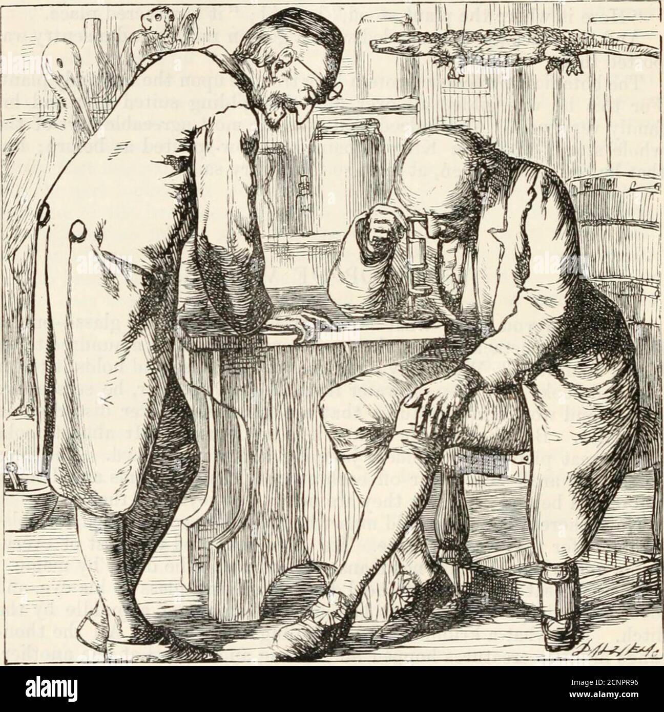 . Histoires pour la maison . créatures désespérées et craquées et tugged l'une à l'autre, et mangé l'une l'autre. C'est horrible ! Dit l'ancien Kribble-Krabble. Ne peut-on pas les persuader de vivre dans la paix et le calme, de sorte que chacun puisse penser à ses affaires? Et il le pensait encore et encore, mais il ne le ferait pas, et ainsi il hadrecourir à la magie. Je dois leur donner de la couleur, qu'ils peuvent être vus plus simplement, dit-il ; et il a versé quelque chose comme une petite goutte de vin rouge dans la goutte d'eau, mais c'était le sang de sorcières des lobes de l'oreille, le plus fin genre, à ninepeiice une goutte. Et maintenant le merveilleux l Banque D'Images