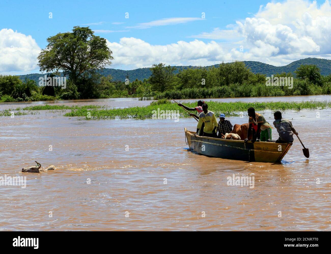 Les résidents regardent une vache qui a sauté du bateau en pagayant dans les eaux après que leurs maisons ont été inondées, tandis que la rivière Nzoia a éclaté ses rives en raison de fortes précipitations et du refoulement du lac Victoria, à Budalangi dans le comté de Busia, Kenya le 3 mai 2020. Photo prise le 3 mai 2020. REUTERS/Thomas Mukoya Banque D'Images