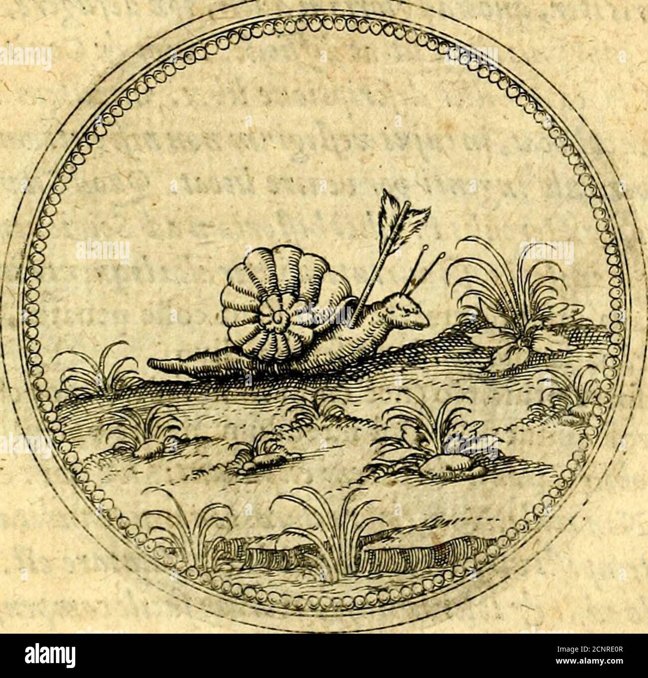 . Joachimi Camerarii Symbolorvm et emblemvm centvriæ tres. I. ex herbis et agitateur. II Ex animolibus quadrupedibus. III Ex volatilibus et insectis. AccessIT noviter centvria IV Ex aquatilibus et reptilibus. CVM figvris æneis . etfinon habet infetantum virium,ideotamenprafiat^quodomnisdamnifmesiexpers.quofit^utpriori quide nemofit^quiNJponte eligiat, cu abst^ dolore&périculo erere cademid nequeat. Huev.femper amplifti convenit, quodper eufin detrimento cerne-relicet^quodest meltm. IdcircorecJe confideranti>opt. Adveravitamwftitutio vtdetur ejfeexperetia3qfit ex comemorationeruab al Banque D'Images