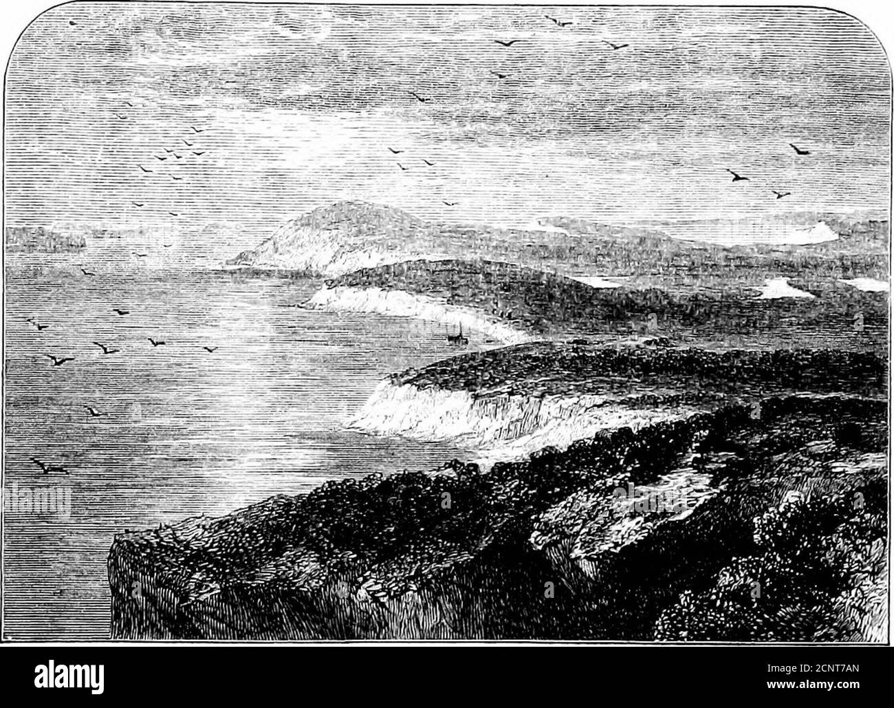 . La Sibérie en Europe : visite de la vallée de la Petchora, dans le nord-est de la Russie, avec des descriptions de l'histoire naturelle, de la migration des oiseaux, etc . ANCIEN EUSSIAN ARGENT CEOSS.. STANAVIALACHTA. CHAPITRE XVI La toundra près de la rivière Yooshina—Pluviers dorés—divers nids—Bunier de Laponie—divers oiseaux—Eichardsons skua—divers moyens de faire le bouchage de notre bateau—la toundra près de Stanavialachta—Eyrie d'un faucon pèlerin—divers nids—abondance de mélis—Nest du mérou—visite dans deux îles du delta. Le lendemain, nous avons quitté Alexievka le matin pour spenda quelques jours à explorer le Banque D'Images