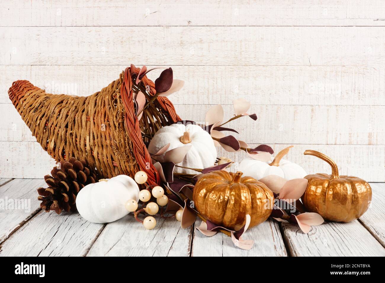 Cornucopia de Thanksgiving remplie de citrouilles blanches et dorées contre un fond en bois blanc Banque D'Images
