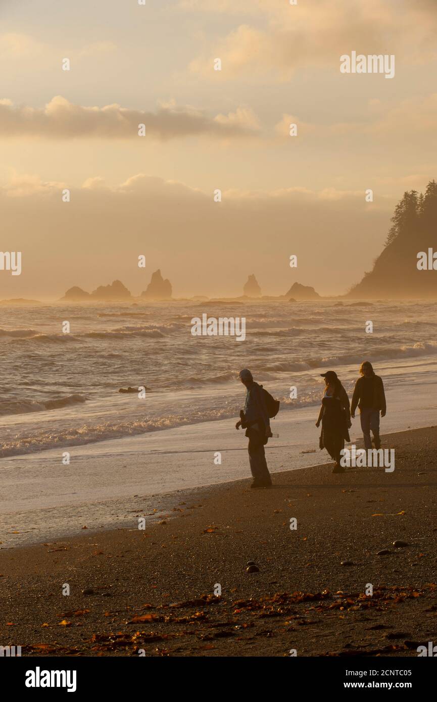Les personnes marchant le soir sur la plage du Rialto près de la Push sur la côte de la péninsule olympique dans le parc national olympique de l'État de Washington, États-Unis Banque D'Images