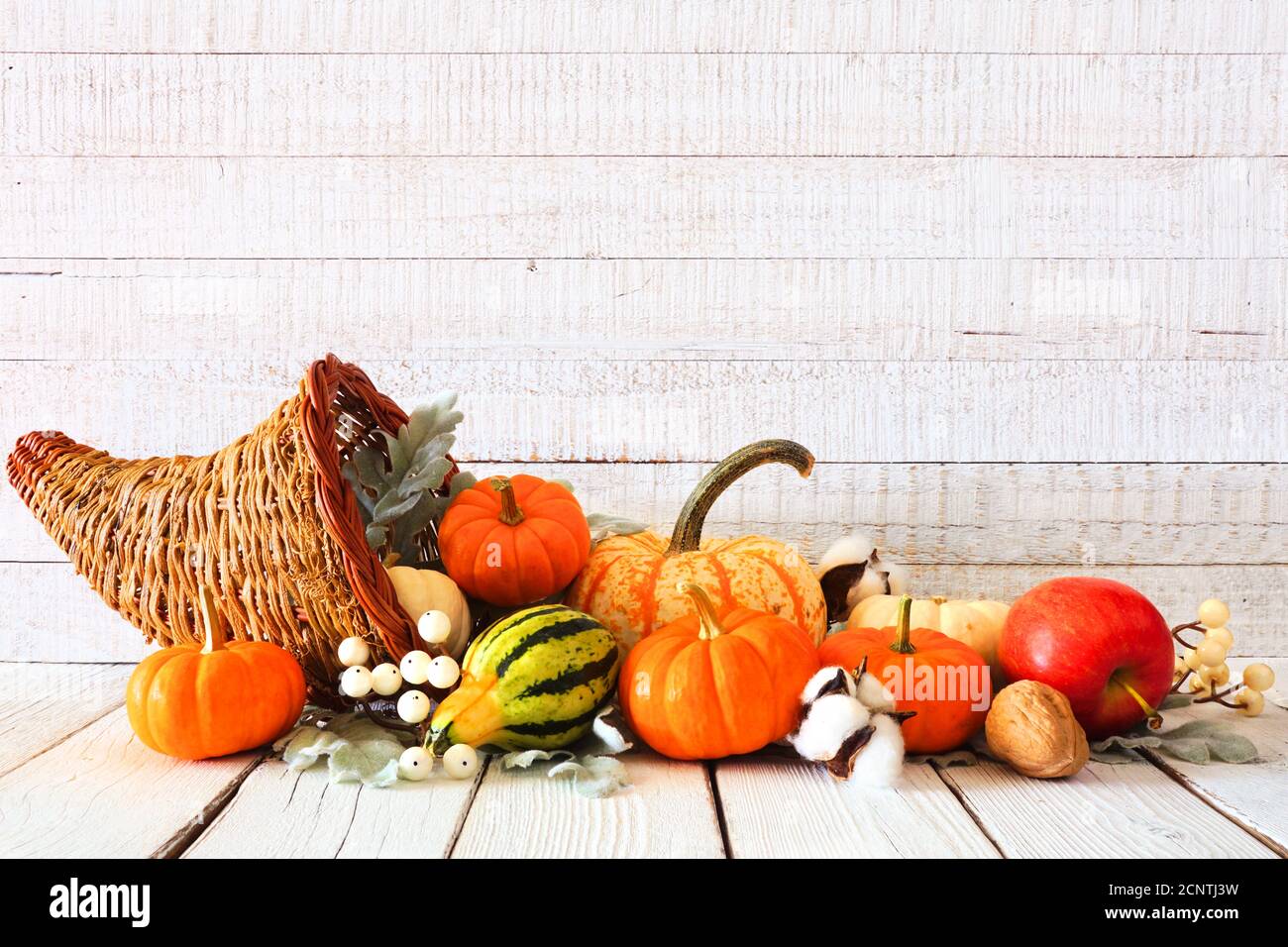 Cornucopia de Thanksgiving remplie de légumes d'automne et de citrouilles contre A. arrière-plan rustique en bois blanc Banque D'Images