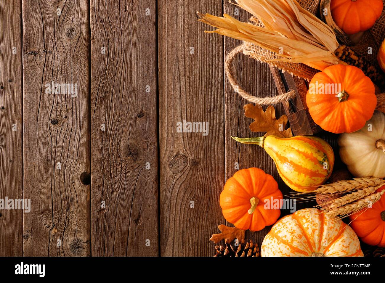 Bordure latérale d'automne de citrouilles, de gourdes et décor d'automne avec panier de récolte sur un fond de bois rustique avec espace de copie Banque D'Images
