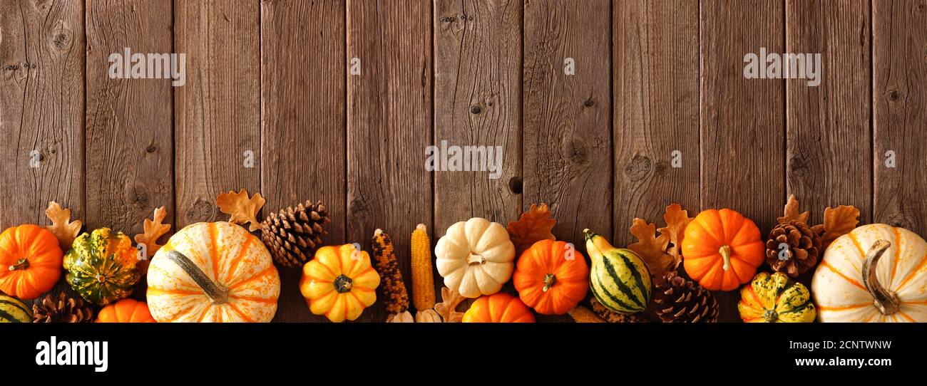 Bordure inférieure d'automne bannière de citrouilles, gourdes et décor d'automne sur un fond de bois rustique avec espace de copie Banque D'Images