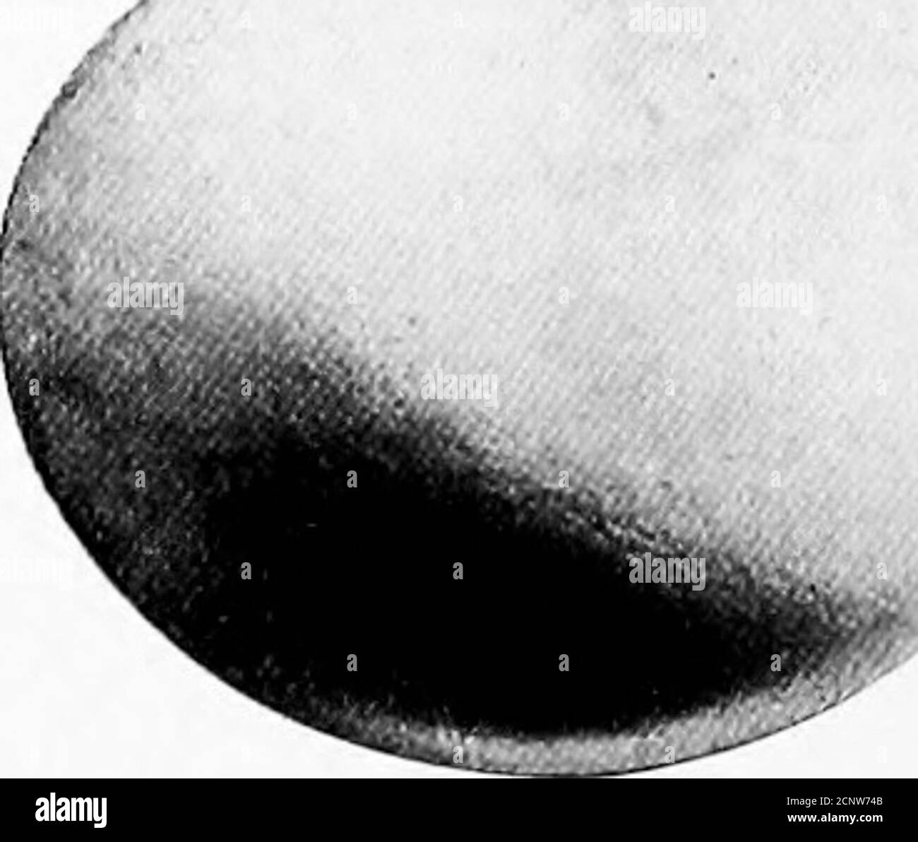 . Les oeufs d'oiseaux nord-américains . sauf qu'ils chassent souvent, au-dessus des marais et des prés, les jours sombres et vers le crépuscule. Leurs quatre à sept oeufs blancs purs sont laidupon sur le sol dans des endroits marécageux, un peu de temps sur une doublure de bâtons et de mauvaises herbes, et de façon régénératrice sous une brousse, ou près d'une vieille bûche.ils nichent, dans des localités différentes, de mars à iWhlte.l Mai. Taille des oeufs 1.55 x 1.25. 368. Hibou barré. Sirop variuni. Aire de répartition.—est de l'Amérique du Nord, depuis les provinces britanniques, vers le sud; à l'ouest vers les Rocheuses. Cette espèce est la plus commune des hiboux et peut être distinguée par son tacheté A. Banque D'Images
