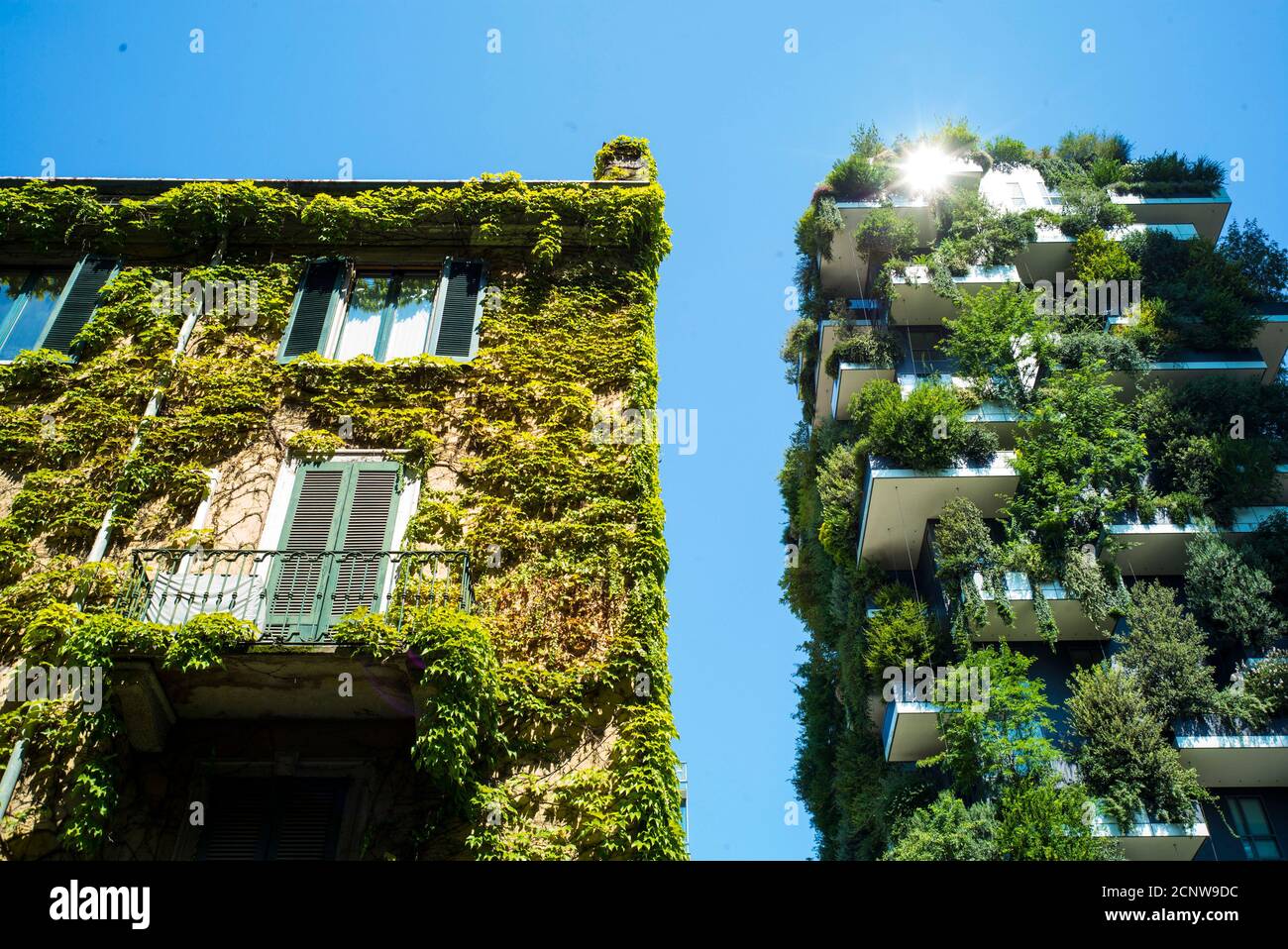 Milan, Lombardie, Italie, façade avec croissance effeu, à côté de Bosco Verticale, maison d'appartement verte, architecte Stefano Böri Banque D'Images