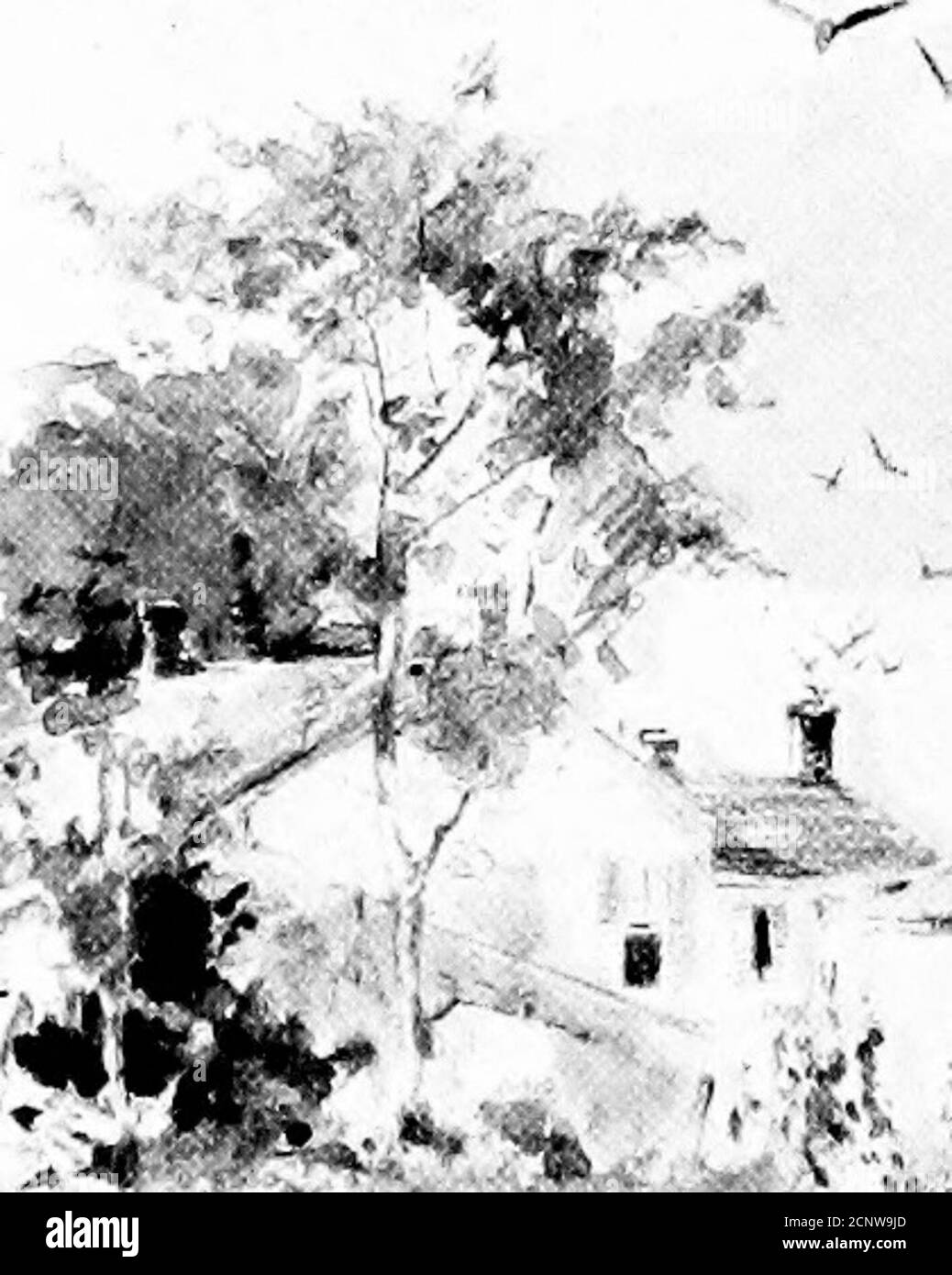 . La vie sauvage près de la maison . ion dans les jours lourds et pleins d'espoir de mars ? Nous sommes dans le nomood pour la gaieté et le spectacle. Pas jusqu'à ce que le thème étoiles querrel ensemble sera le chat-birdor scarlet tanager annonce le printemps. La chanson ir-révérente d'un chat-oiseau dans le gris gloomof Mars retournerait le printemps et drawthe hiver hors de sa tombe découverte. Thebluebird vient et couve sur cette mort et la naissance, jusqu'à ce que l'hiver vieux dort son long sommeil, et le jeune printemps se réveille à sa belle vie. Dans ma maison se trouve un autre oiseau de littlebird très humain, la cheminée-hirondelle. Partager nos veryfiresides comme il le fait, il sûr Banque D'Images