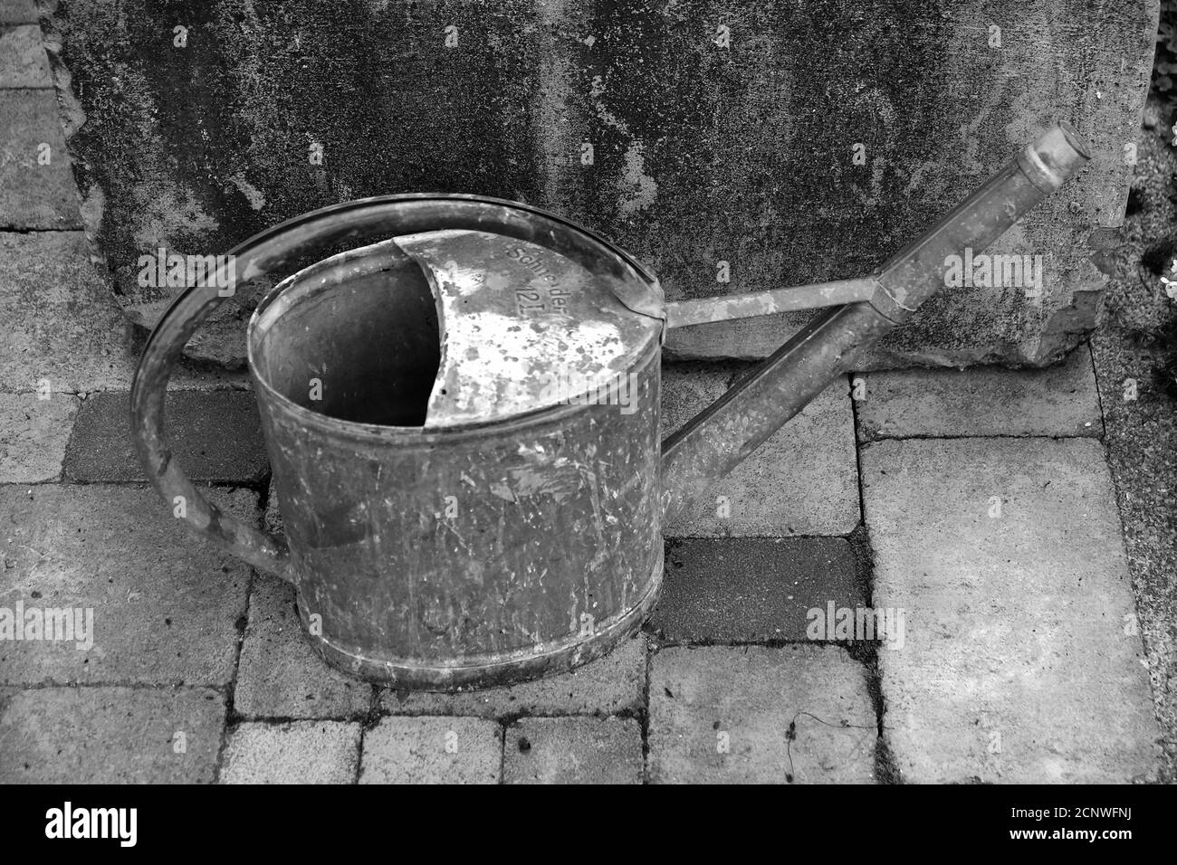 Prise de vue en niveaux de gris d'un arrosoir dans un jardin Banque D'Images
