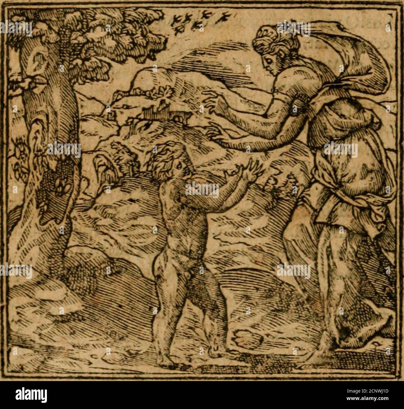 Andreae Alciati I V C Emememata Hit E J In Tate Hdminu Tta Diis Tlacitum Va