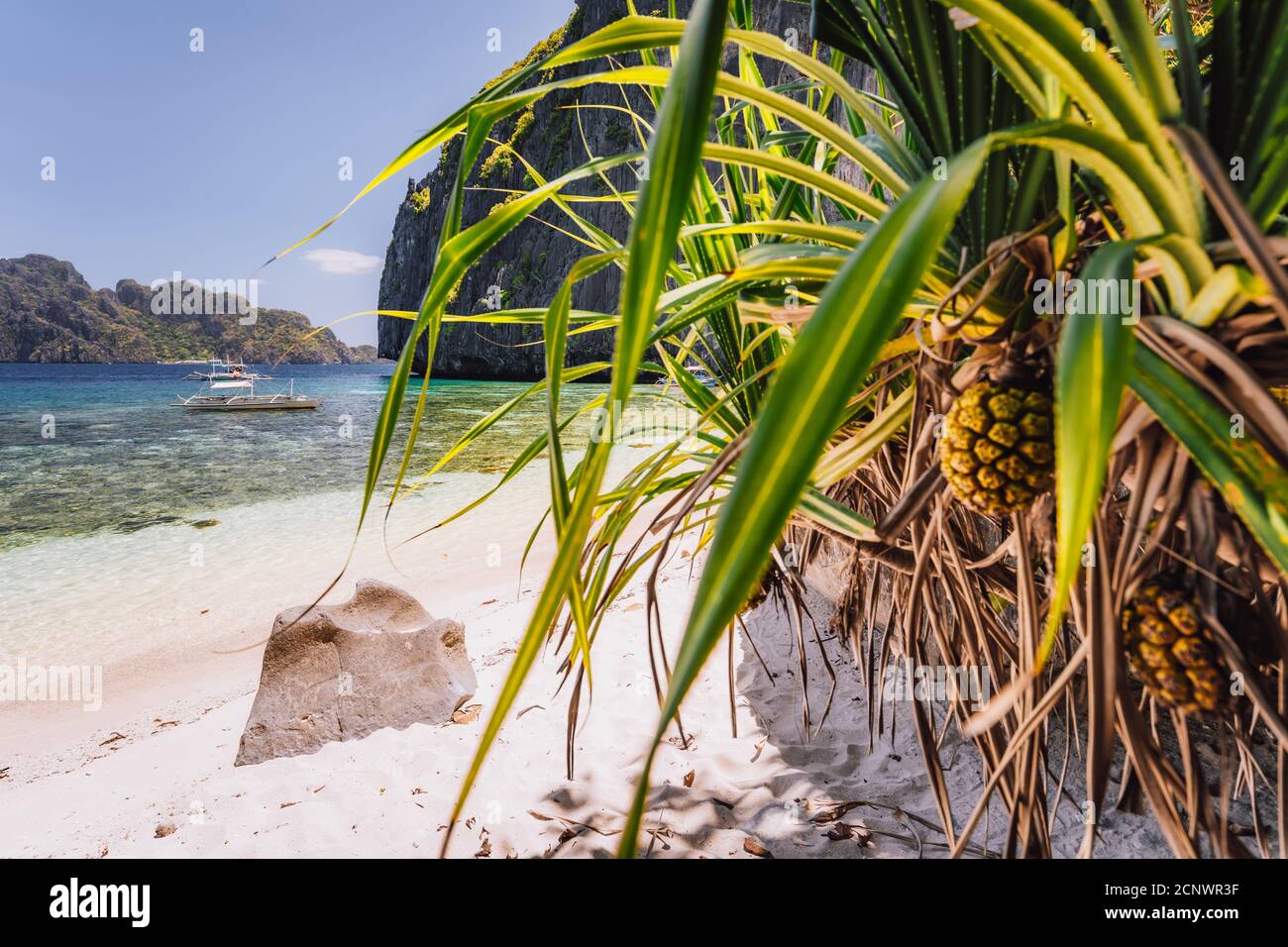 El Nido, Palawan, Philippines. Plage de sable tropical paradisiaque avec plantes à feuillage exotique. Le lagon bleu est entouré de montagnes rocheuses calcaires karstiques. Banque D'Images El Nido, Palawan, Philippines. Plage de sable tropical paradisiaque avec plantes à feuillage exotique. Le lagon bleu est entouré de montagnes rocheuses calcaires karstiques. Banque D'Images