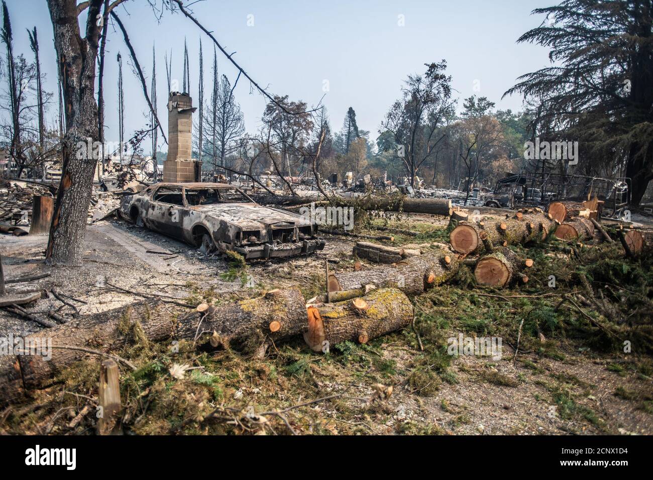 TALENT, MINERAI - 18 SEPTEMBRE 2020 : une vue générale des véhicules brûlés dans les suites de l'incendie d'Almeda. La ville de Talent, Oregon, montrant les maisons brûlées, les voitures et les gravats laissés derrière. Dans Talent, à environ 20 miles au nord de la frontière de la Californie, les maisons ont été charrées au-delà de la reconnaissance. Dans l'ouest des États-Unis, au moins 87 feux de forêt sont en feu, selon le National Interagency Fire Center. Ils ont torqué plus de 4.7 millions d'acres -- plus de six fois la région de Rhode Island. Crédit : Chris Tuite/imageSPACE Banque D'Images
