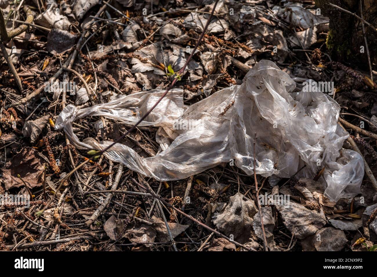 Déchets plastiques jetés au milieu de la nature Banque D'Images