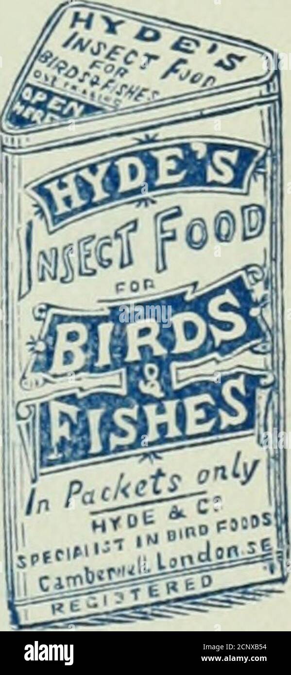 . Notes d'oiseau . IOR IMACAWS, PARRAKKKKTS ET AIJ, SPHCIKS DE PERROQUETS. HYDES NATURAEFOOD POUR OISEAUX ET POISSONS. Beaucoup de abri par Lark.s, Thru.shes, Black- |Bird.s, StarlinjJj.s. et toutes sortes d'oiseaux inSEC-tivores. VSaiuple Box, ID Vendu Ill paquets par tous les vendeurs de P)ird Seed, et de commerce de gros de R. HYDE & CO., Ltd., BIRD FOOD SPKC/ALISrS. Harold Street, Caiiberwell, Londres, S.e.. ARTHUR COOK, AVIATEUR ÉTRANGER. Étant l'un des plus grands éleveurs de tlieseBirds, je peux offrir de grands oiseaux, gnaranteed élevés dans ma volière extérieure, à 7/6 paires, ou 3 paires pour 21/= Note thk adresse : Kingsbury Road, Grav Banque D'Images