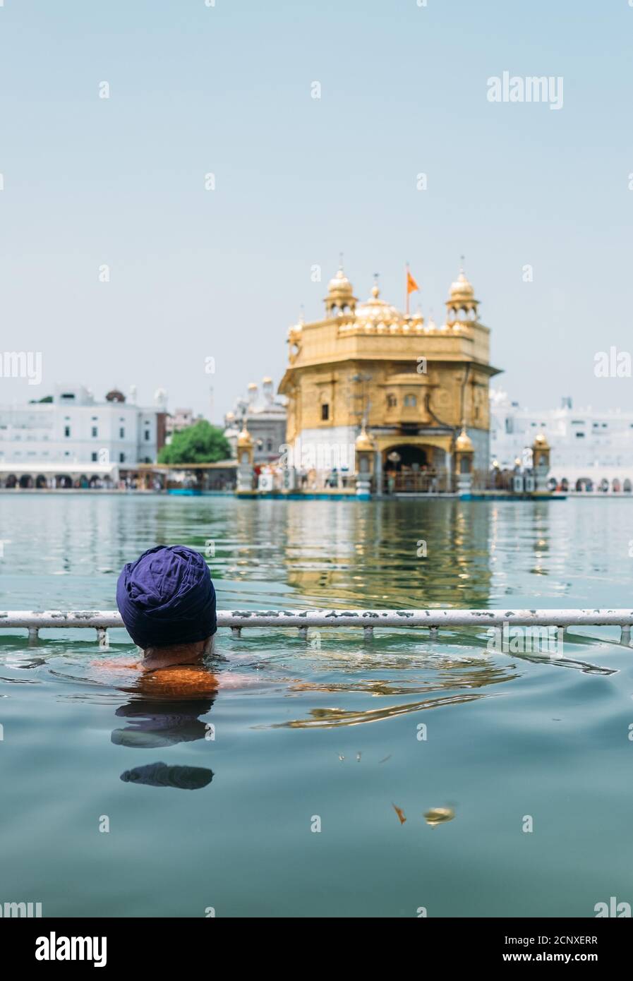 Sikh pèlerin priant dans le réservoir Saint près du Temple d'Or (Sri Harmandir Sahib), Amritsar, INDE Banque D'Images