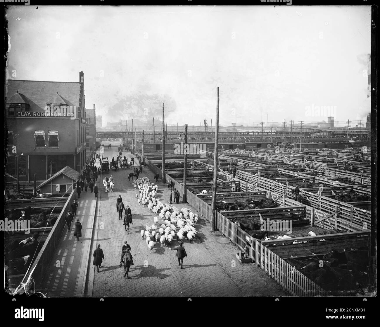 Enclos et travailleurs du bétail qui herent des moutons aux chantiers Union stock, Chicago, Illinois, vers 1910. Banque D'Images