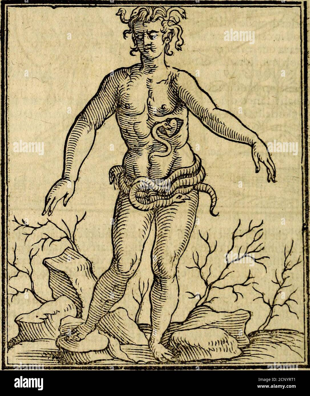 Ella Mente Dellhiioniojo Permiencolia O Pciiracondia O Per Dolore O Per Ci More Gt O Che Viene Da In Gt Perfettione Naturale Giouane Fcapigliata 8c Fcalza Fi Diping Gt Perciocheilpazzonon Fiimafe Nicdefimo Nnierte